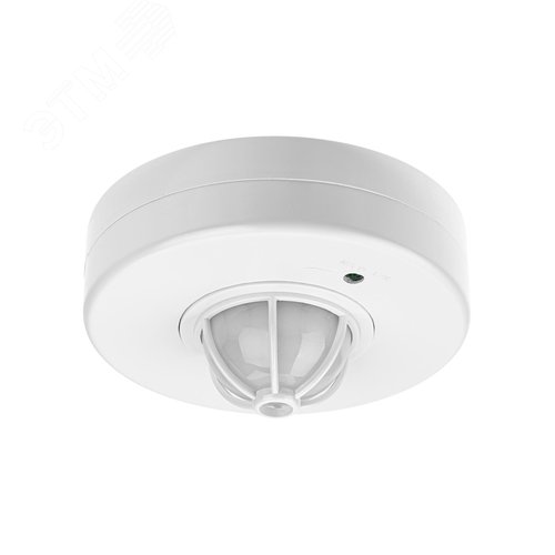 Миниатюра 5