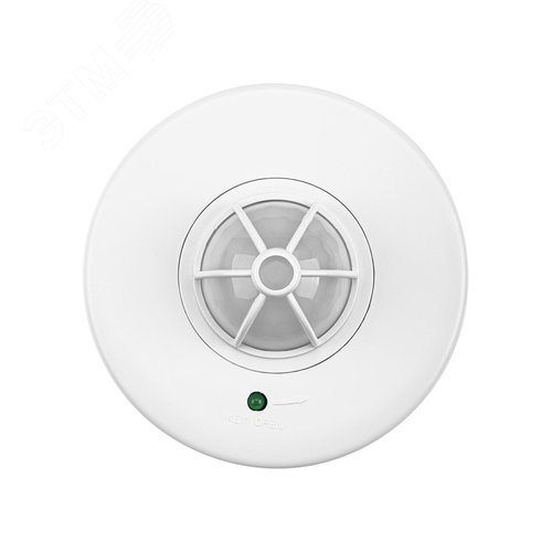 Миниатюра 6