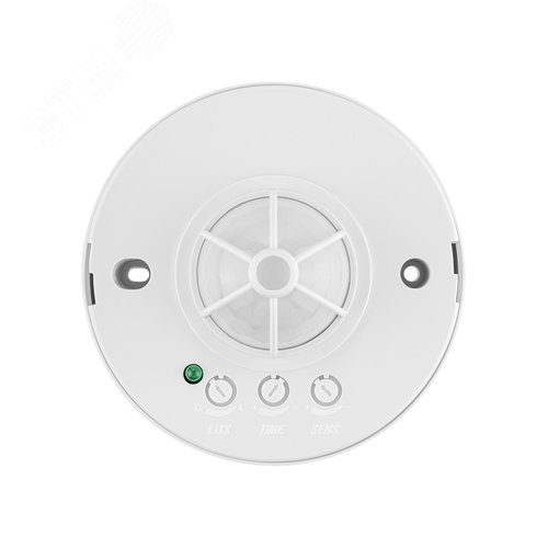 Миниатюра 2