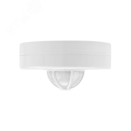 Миниатюра 3