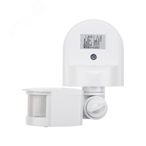 Миниатюра 6