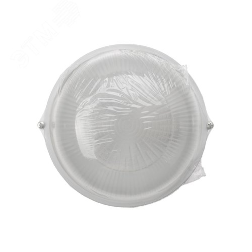Миниатюра 5