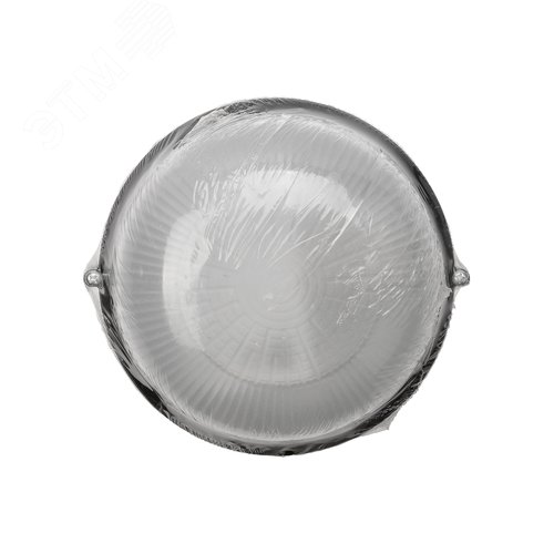 Миниатюра 5