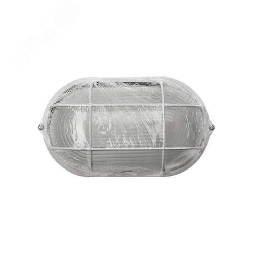 Миниатюра 5