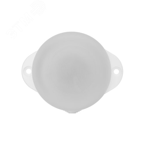 Миниатюра 5