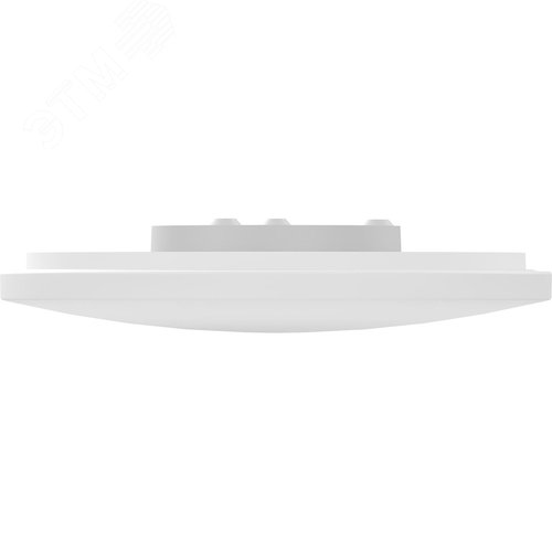 Миниатюра 7