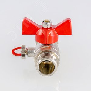 Миниатюра 2