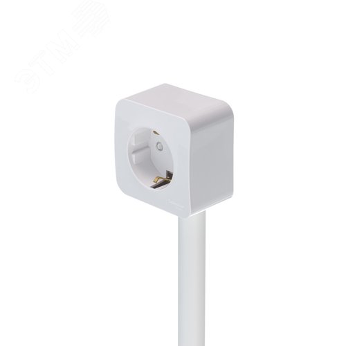 Миниатюра 6