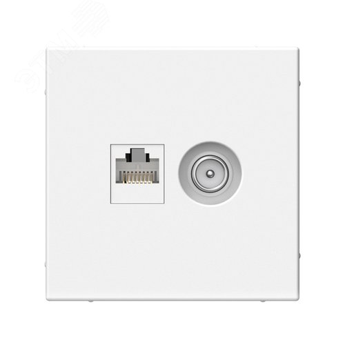 ARTGALLERY розетка двойная ТВ + компьютерная RJ45, кат. 5Е, белый