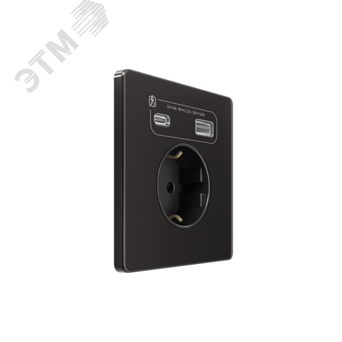 Розетка С/У с ЗК и зар.устр.USB А+С 20Вт (250В, 16А, защит.шторки), Полярная ночь , Systeme Infinity