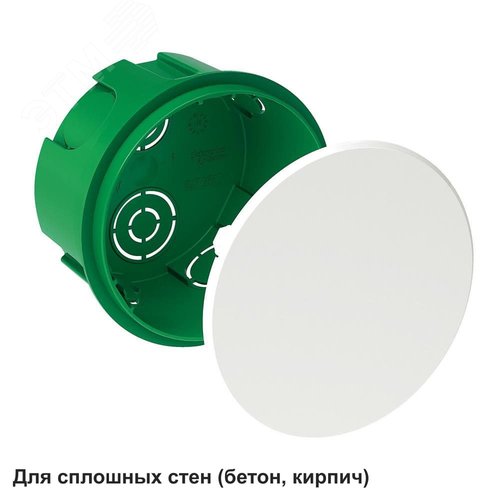 Миниатюра 2