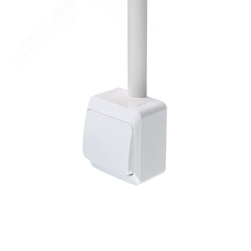 Миниатюра 7