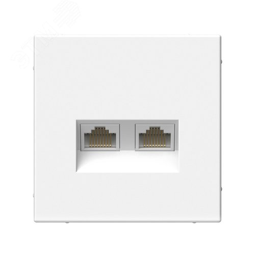 ARTGALLERY розетка двойная компьютерная RJ45+RJ45, кат.6А, механизм, белый