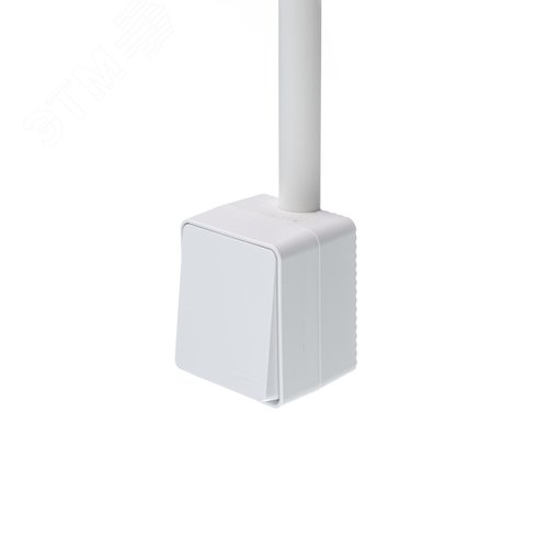 Миниатюра 9