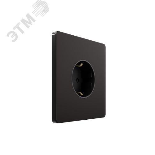 Розетка С/У с ЗК (250В, 16А, защит.шторки), Полярная ночь , Systeme Infinity