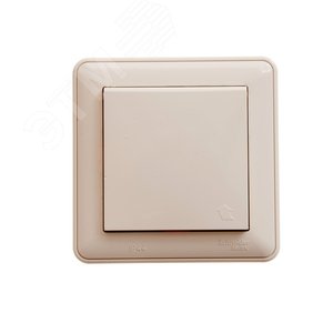 W59 Розетка скрытая с заземлением с крышкой IP44 бежевая