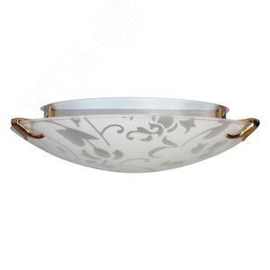 Миниатюра 4