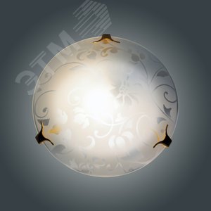 Миниатюра 6