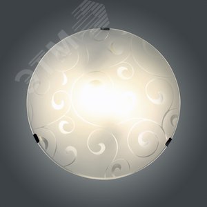 Миниатюра 4