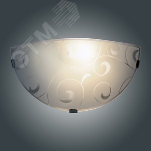 Миниатюра 6