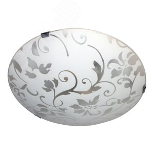 Миниатюра 3