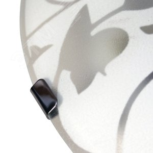 Миниатюра 5