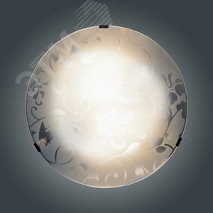 Миниатюра 6