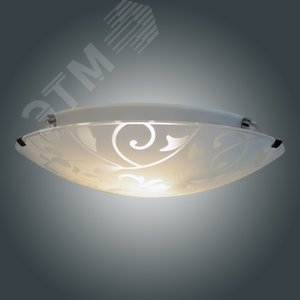 Миниатюра 7