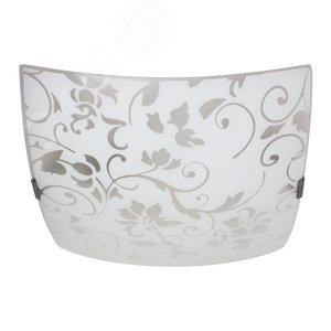 Миниатюра 3