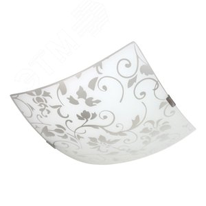 Миниатюра 4