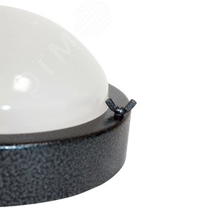 Миниатюра 4