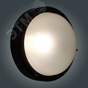 Миниатюра 7