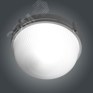 Миниатюра 5