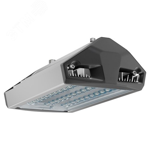 Светильник уличный ЕСАУЛ ДКУ-50 750 ШБ