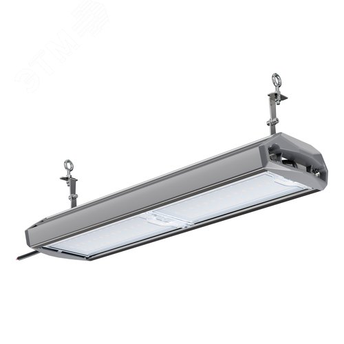 Светильник промышленный ЕСАУЛ ДСП-100 750 Д