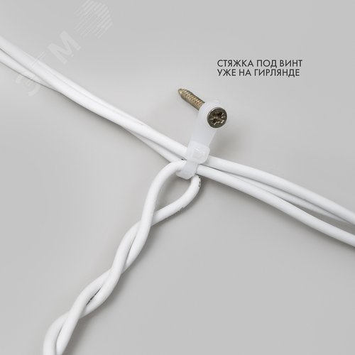 Миниатюра 8