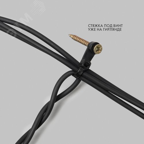 Миниатюра 8