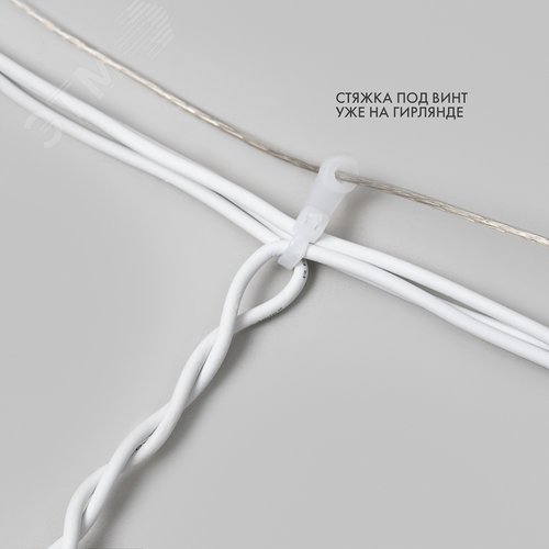 Миниатюра 9