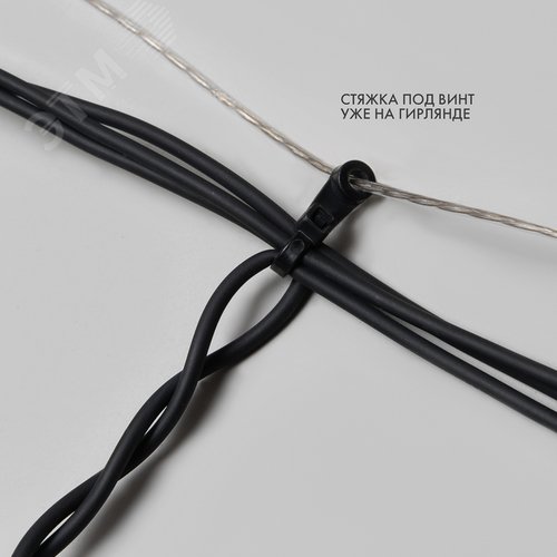 Миниатюра 9