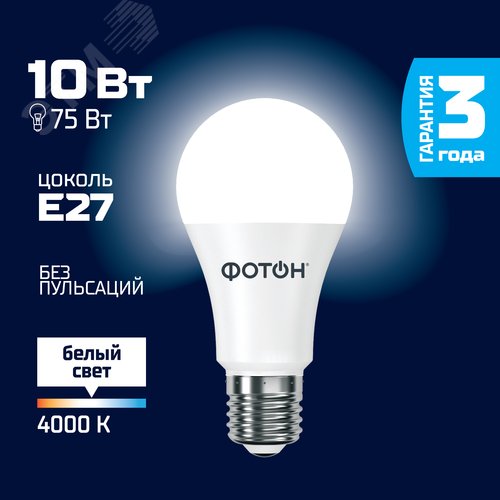 Миниатюра 13