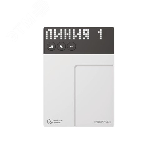 Миниатюра 2