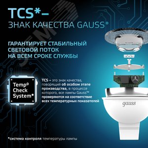 Миниатюра 10