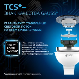 Миниатюра 10