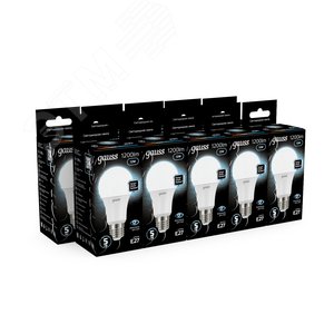 Миниатюра 12