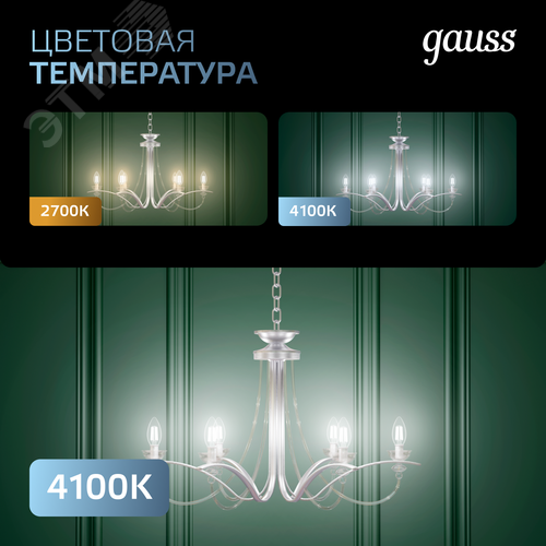 Миниатюра 9