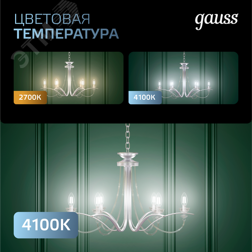 Миниатюра 9