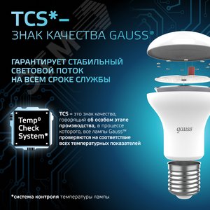 Миниатюра 10