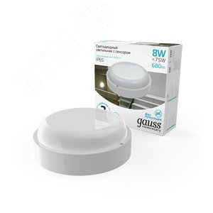 Миниатюра 2