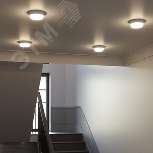 Миниатюра 5