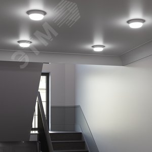 Миниатюра 6